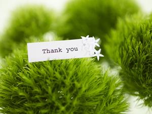 販促物に最適なカレンダーの印刷